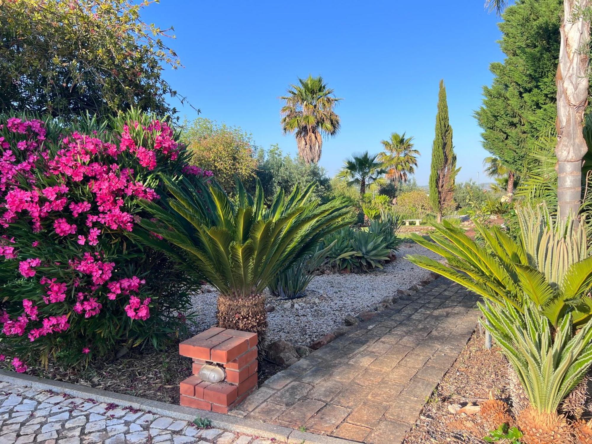 Vila Relaxmountain B&B São Bartolomeu de Messines Eksteriør bilde
